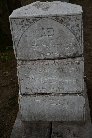 DSC_8508 fuchs awers