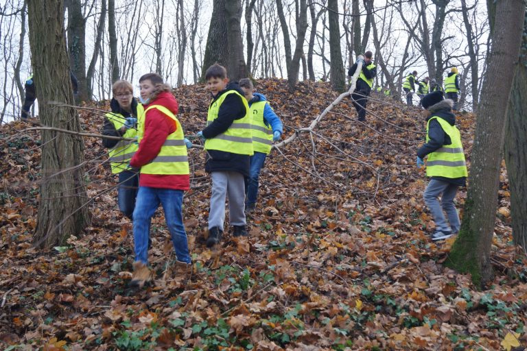 Do "Cmentarz"-"Historia cmentarza żydowskiego w Trzemesznie"