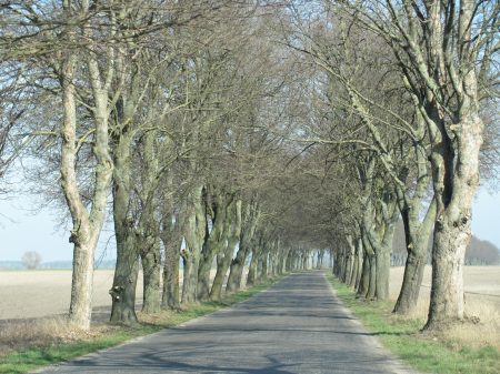 Droga z Orchowa do Podbielska, widok obecny; fot. Paweł Dragan