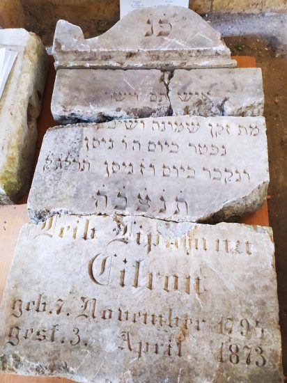 Do "Historia Społeczności"-"Struktura gminy żydowskiej w Trzemesznie"