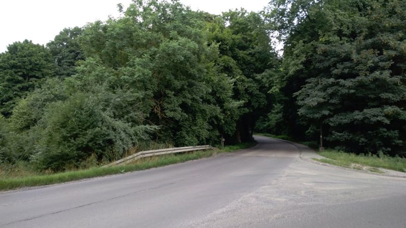 Do "Projekty społeczne i edukacyjne » Projekt odnowienia cmentarza żydowskiego w Trzemesznie"